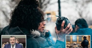 Terror threat 'higher now than itâs been in decades,' Sen. Ted Cruz warns